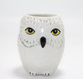 Harry Potter Hedwig Tasarım Porselen Kupa Bardak